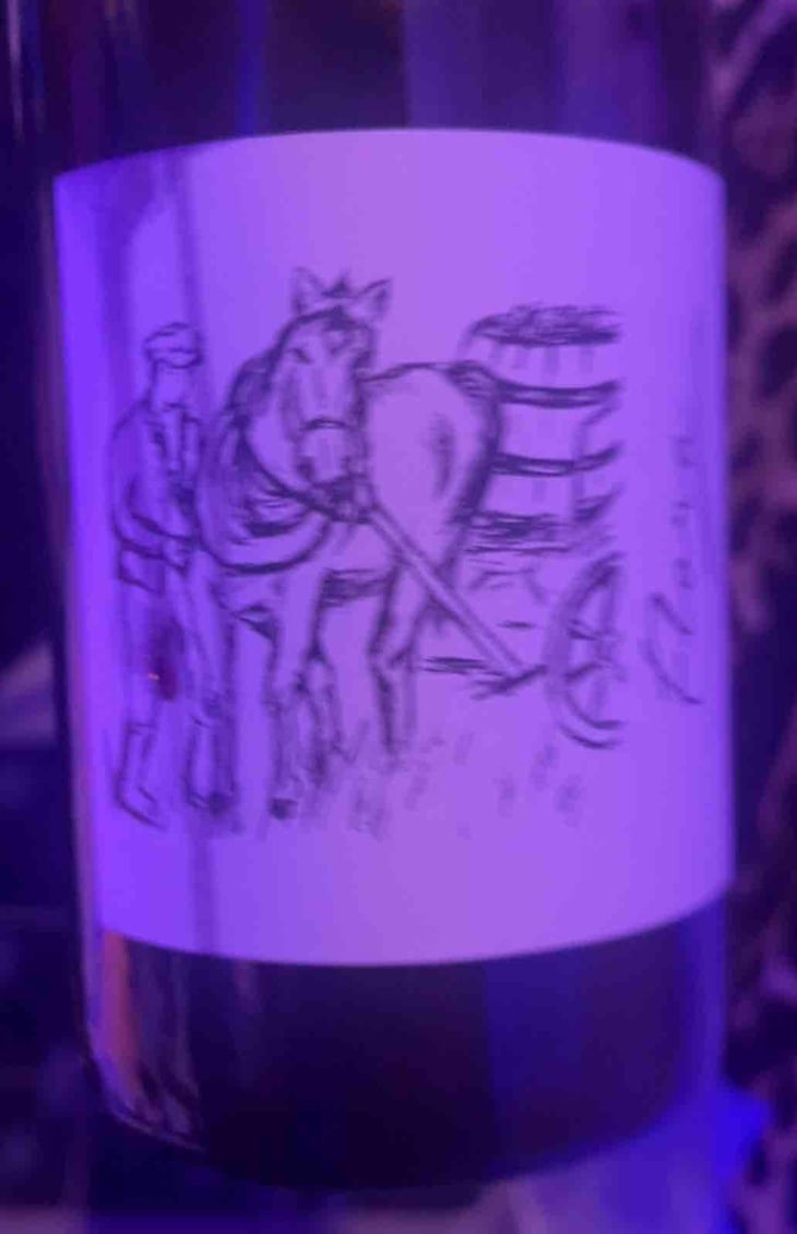 Flora - Brand Bros - Weingut Brand - Daniel & Jonas Brand 