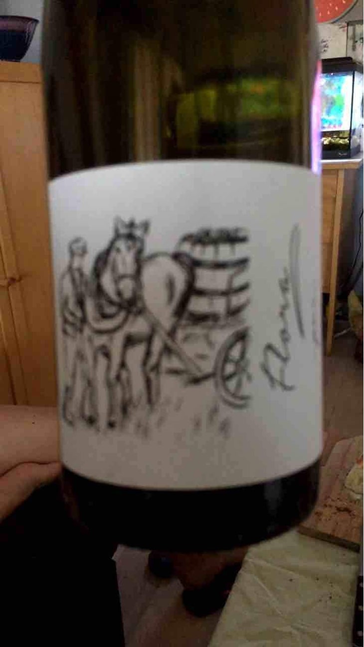Flora - Brand Bros - Weingut Brand - Daniel & Jonas Brand 