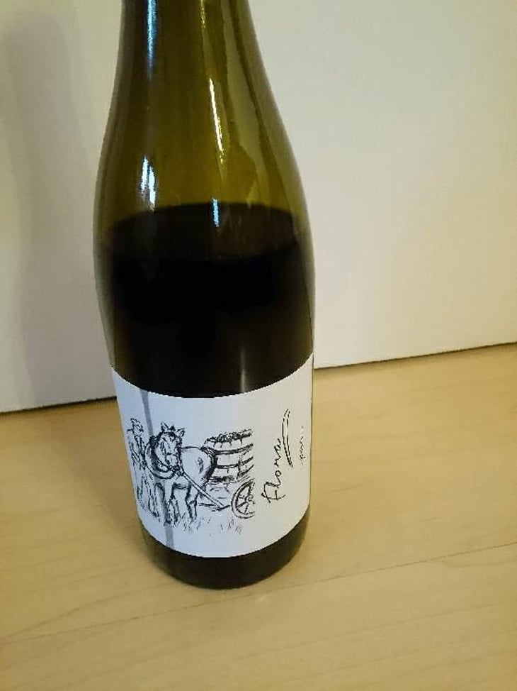 Flora - Brand Bros - Weingut Brand - Daniel & Jonas Brand 