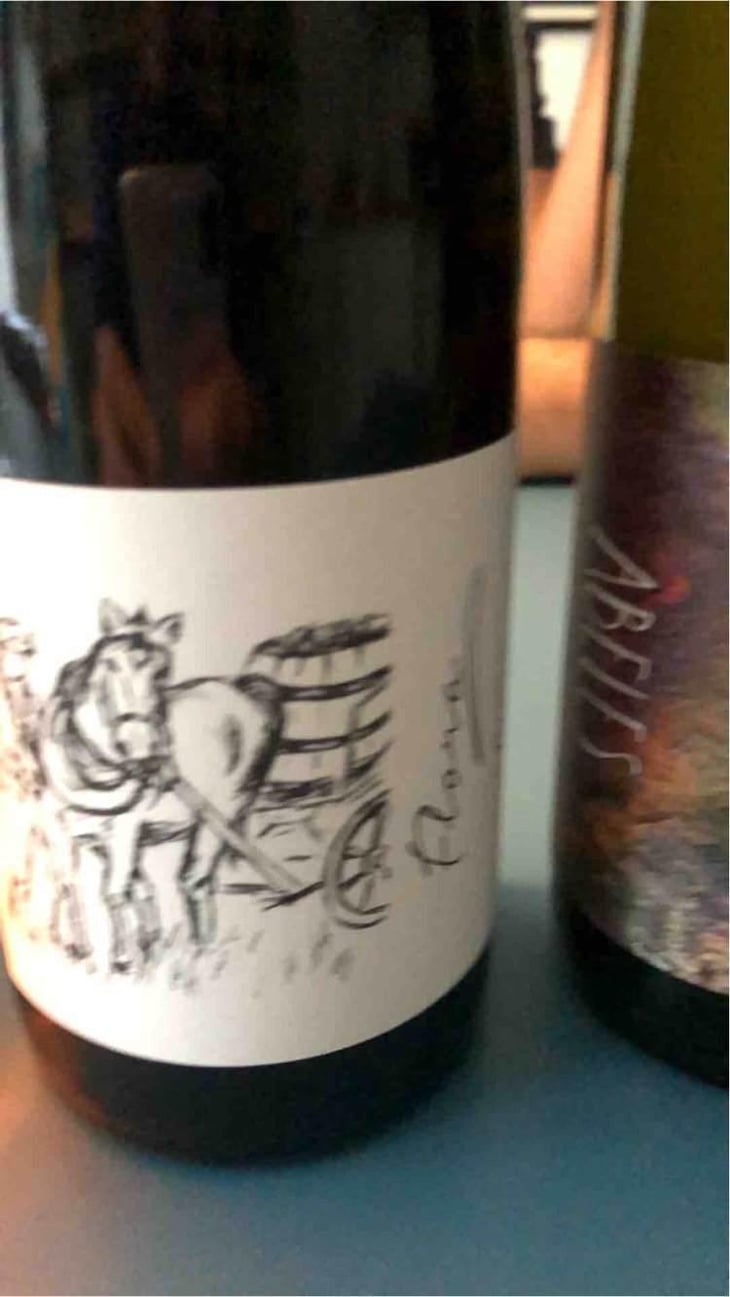 Flora - Brand Bros - Weingut Brand - Daniel & Jonas Brand 