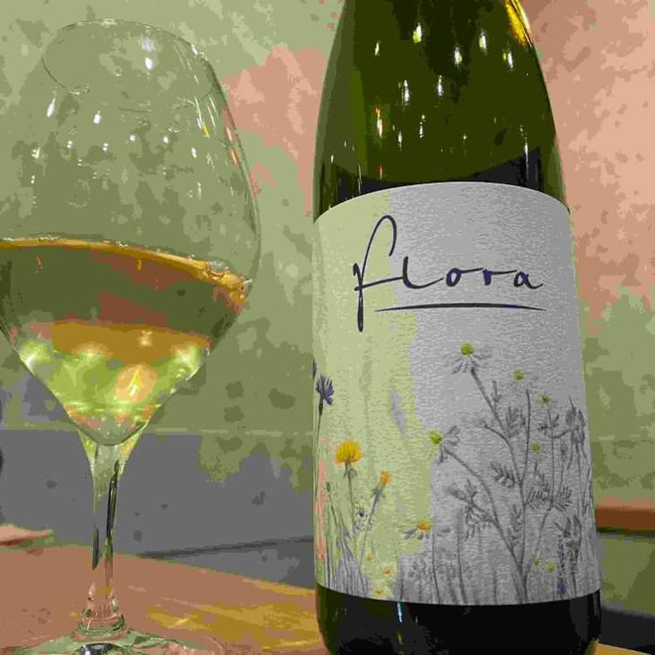 Flora - Sol - Michael Gindl 