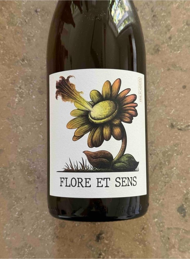 Flore et sens - Meïgoon - Saharnaz Ahangi et Gauthier Ollivier -2023