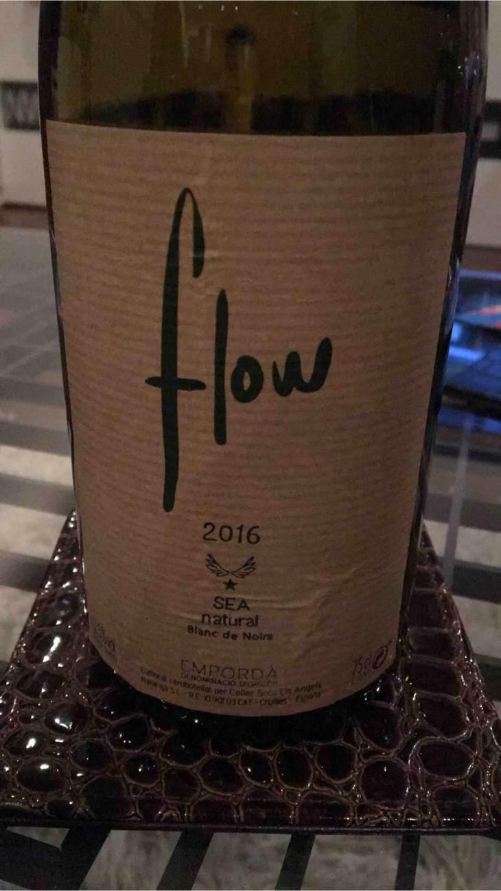 Flow - Sota Els Angels - María J. Polanco & Guy Jones 
