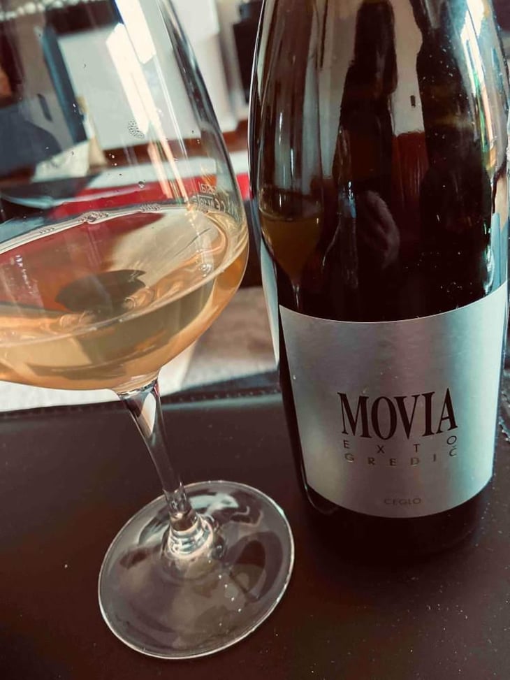 Gredic - Movia - Aleš Kristančič 