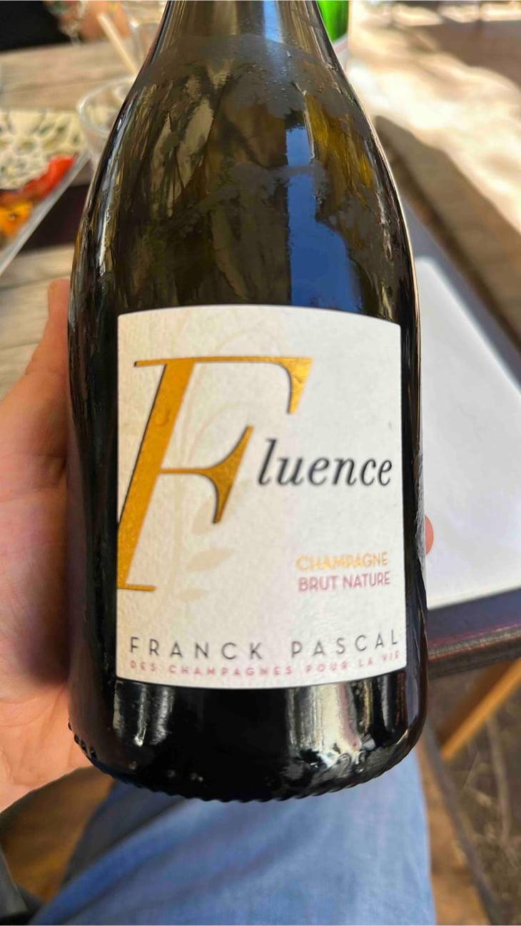 Fluence - Franck Pascal - Franck & Isabelle Pascal 