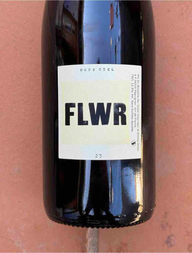 Flwr - Hors Ciel - Victor Gourreau & Emma Olson -2022