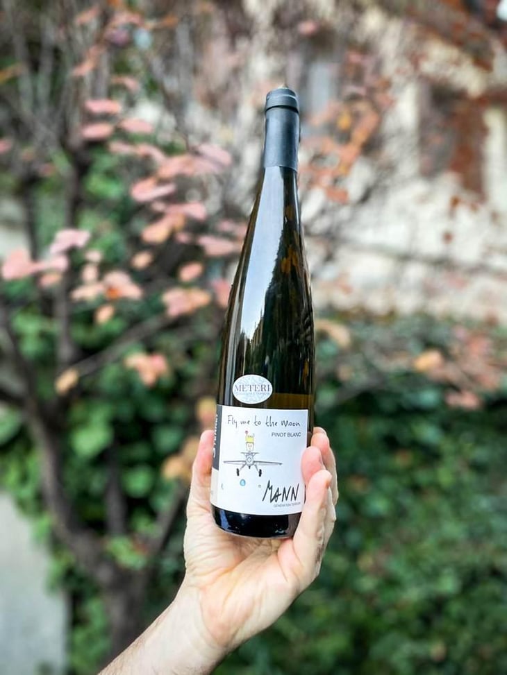 Fly me to the Moon - Domaine Mann - Vignoble Des 3 Terres - Sébastien, Jean-Louis & Fabienne Mann 