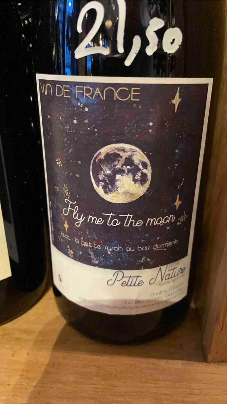 Fly me to the Moon - Petite Nature - Pauline Maziou 
