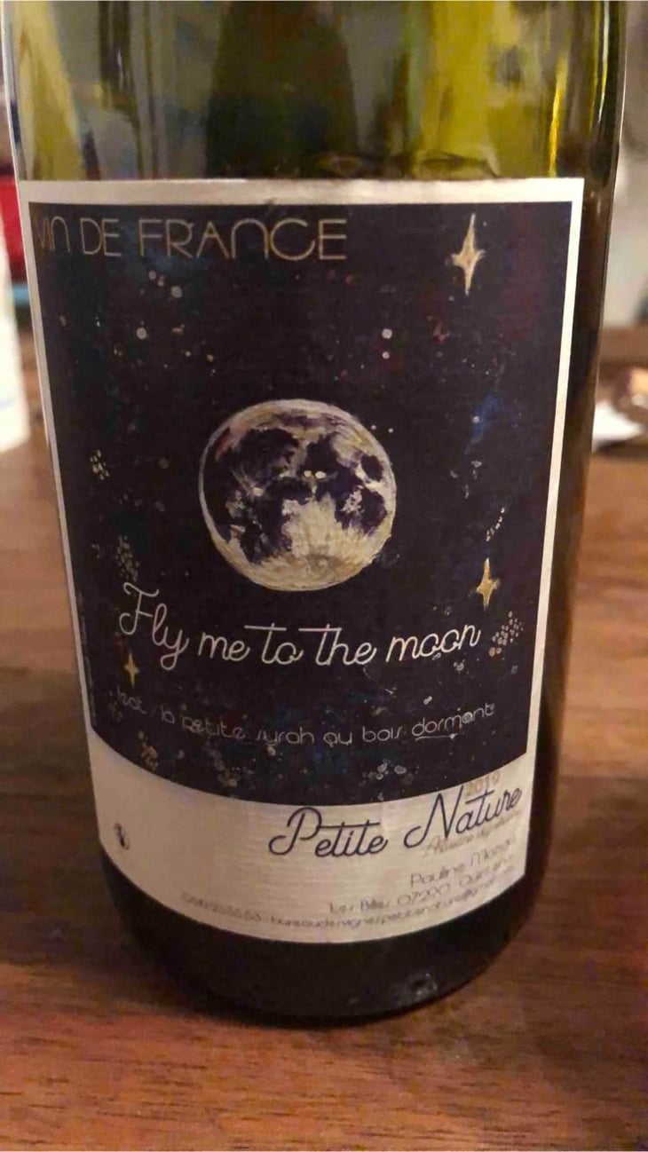 Fly me to the Moon - Petite Nature - Pauline Maziou 