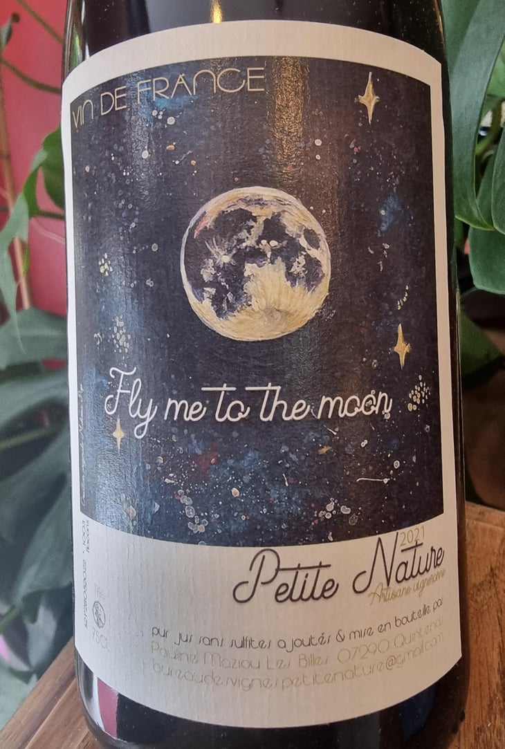 Fly me to the Moon - Petite Nature - Pauline Maziou 