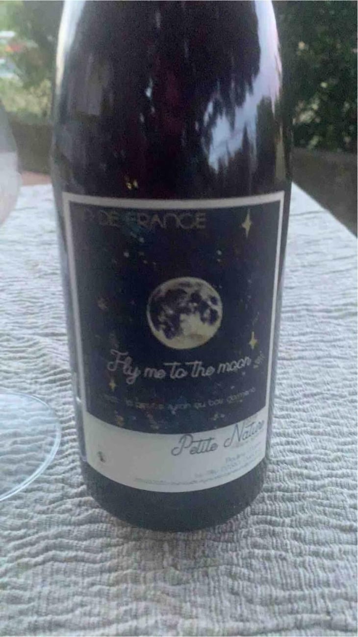 Fly me to the Moon - Petite Nature - Pauline Maziou 