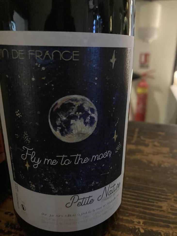 Fly me to the Moon - Petite Nature - Pauline Maziou 