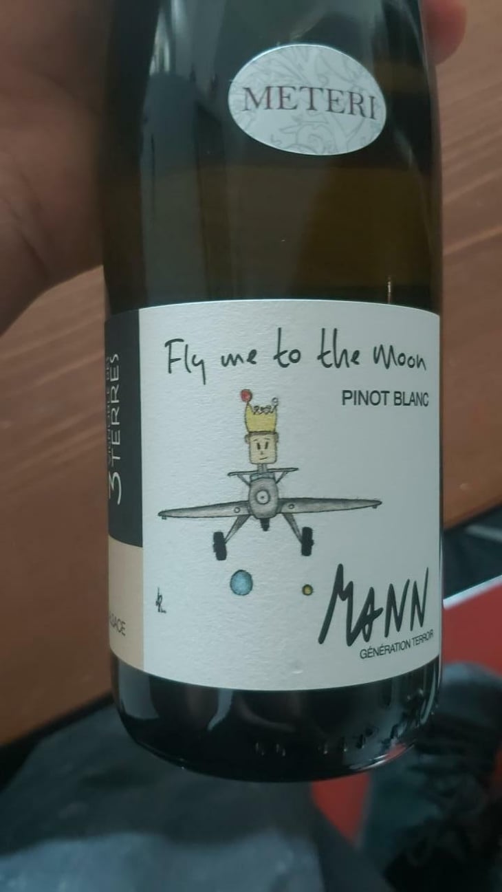 Fly me to the Moon - Domaine Mann - Vignoble Des 3 Terres - Sébastien, Jean-Louis & Fabienne Mann 