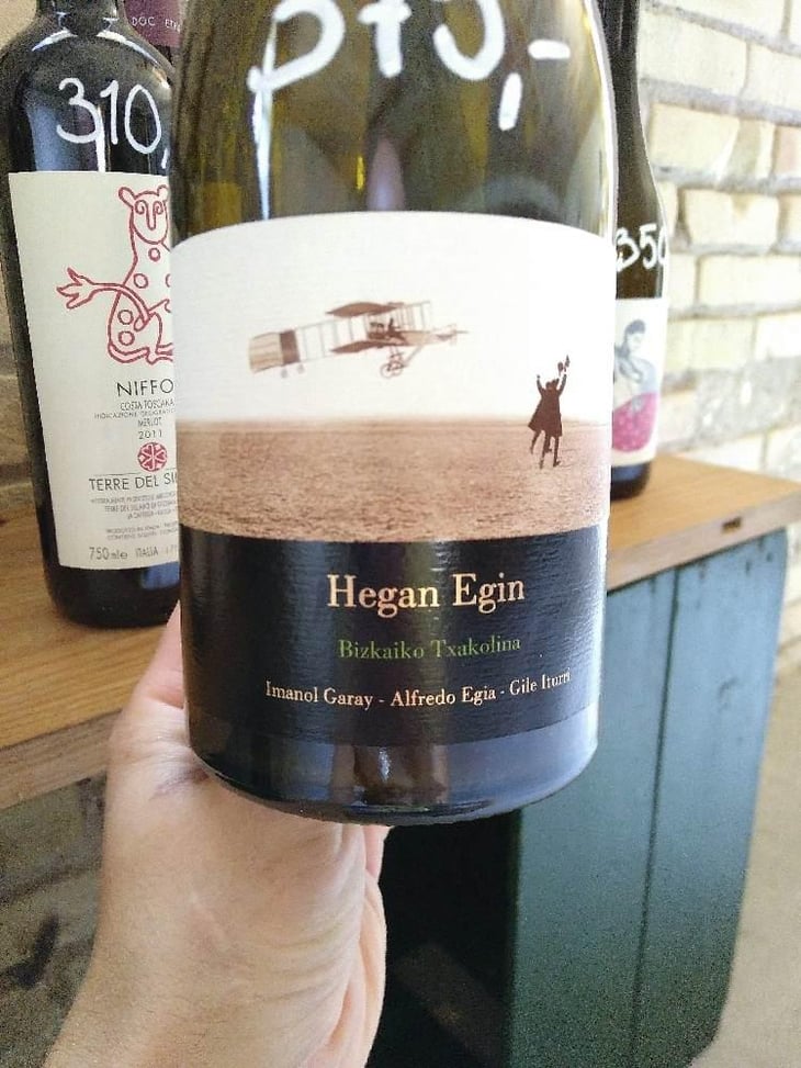 Hegan Egin (X Aldredo Egia) - Imanol Garay - Imanol Garay 