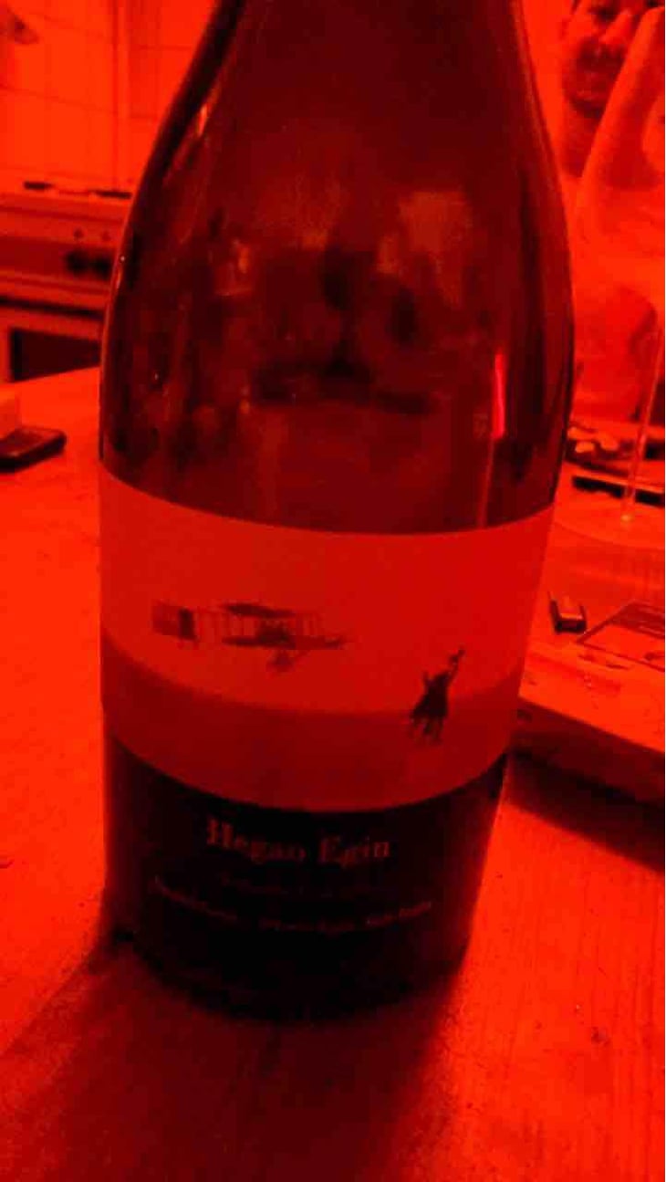 Hegan Egin (X Aldredo Egia) - Imanol Garay - Imanol Garay 