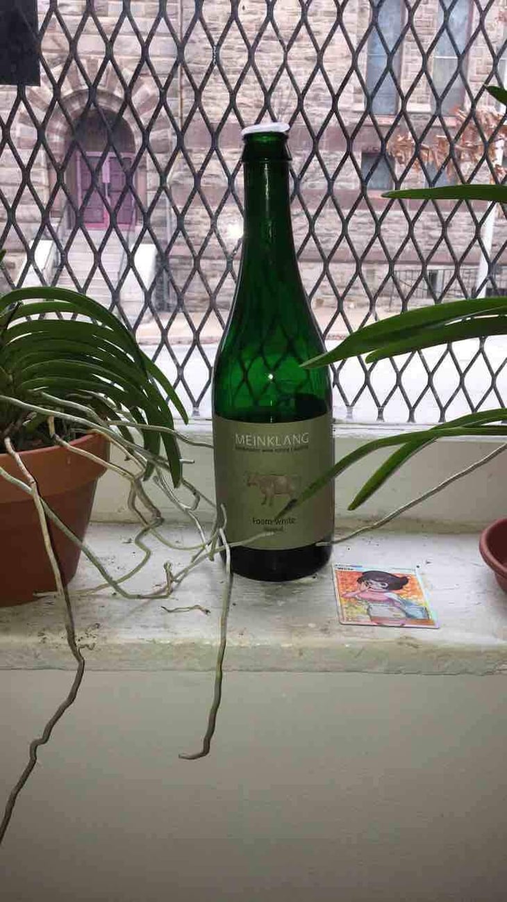 Foam Weiss - Meinklang - Weingut Michlits - Angela & Werner Michlits 