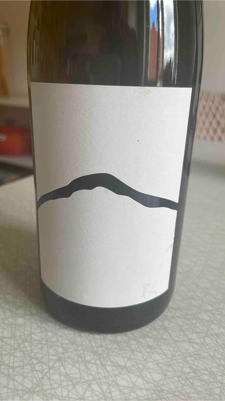 Fogosch - Joiseph Weingut - Richard Artner, Xandl Kagl & Luka Zeichmann 
