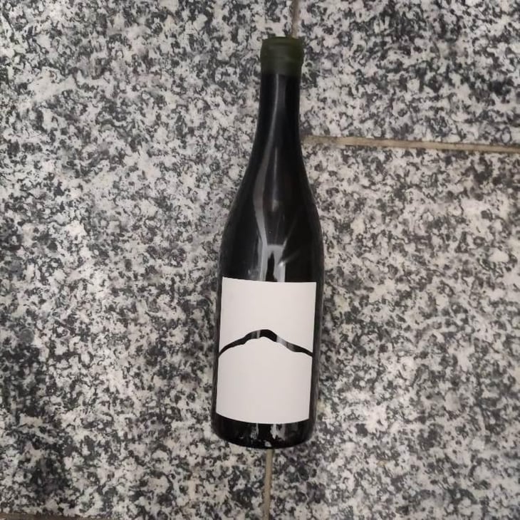 Fogosch - Joiseph Weingut - Richard Artner, Xandl Kagl & Luka Zeichmann 