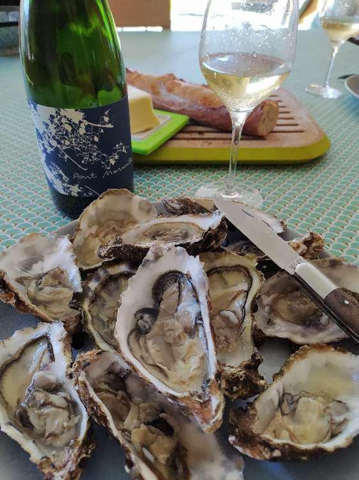 Folle De L'Abbaye - Clos Du Pont Marmite - Robin Euvrard 