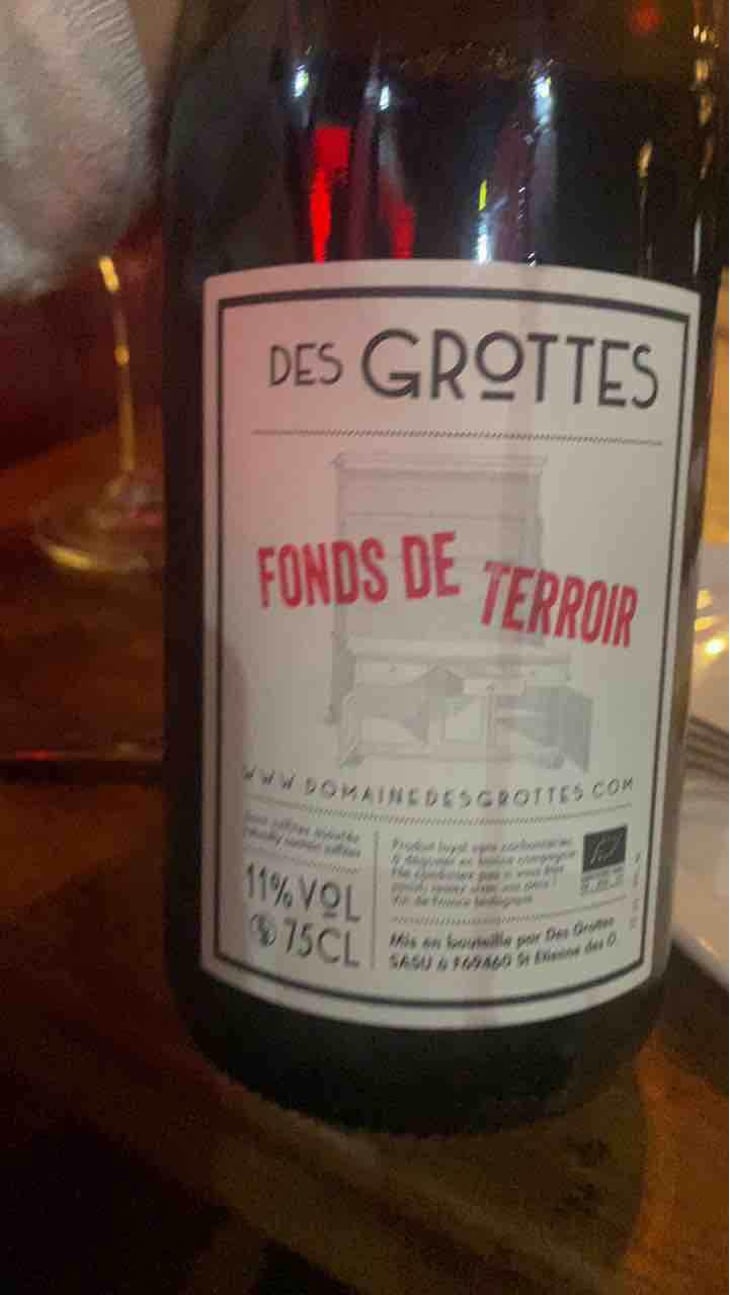 Fonds De Terroir - Domaine des Grottes - Romain des Grottes -2021