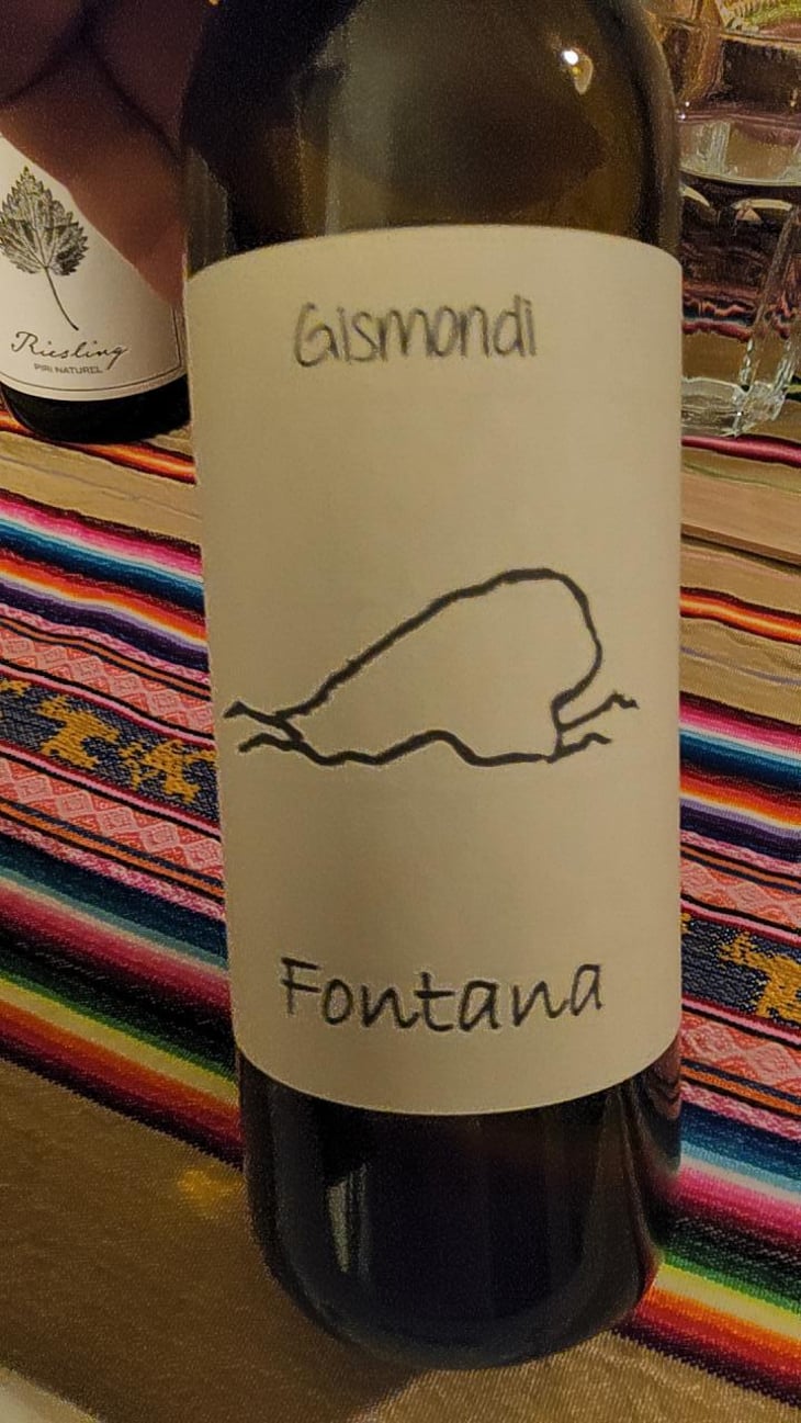 Fontana - La Vinicola di Antonio Gismondi - Anabel & Antonio Gismondi -2024