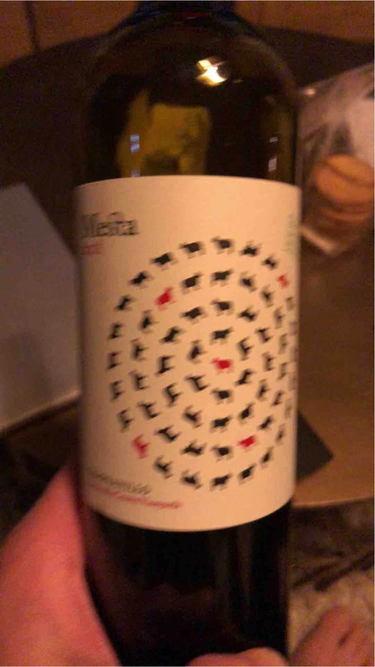 Fontana Mesta Tempranillo - Bodegas Fontana - Bodegas Fontana 