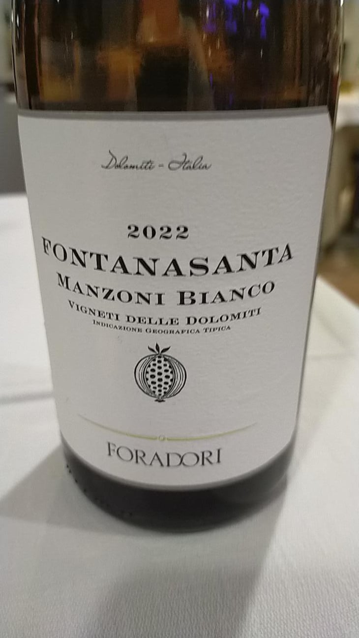 Fontanasanta Manzoni Bianco - Azienda Agricola Foradori - Elisabetta Foradori 