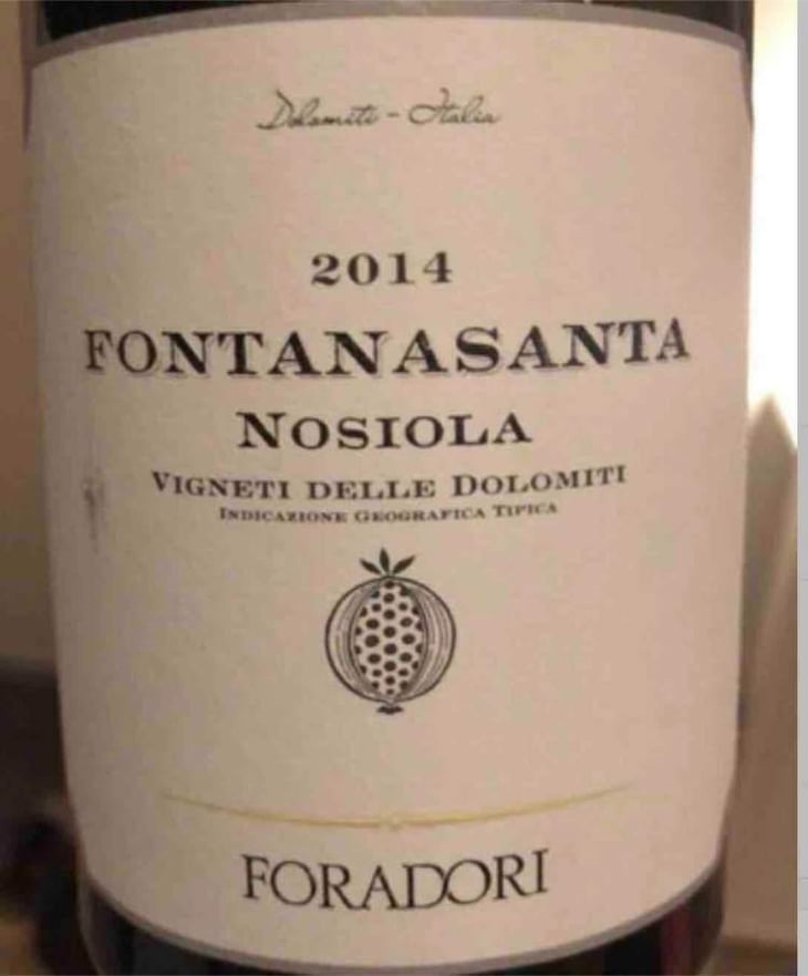 Fontanasanta Manzoni Bianco - Azienda Agricola Foradori - Elisabetta Foradori 