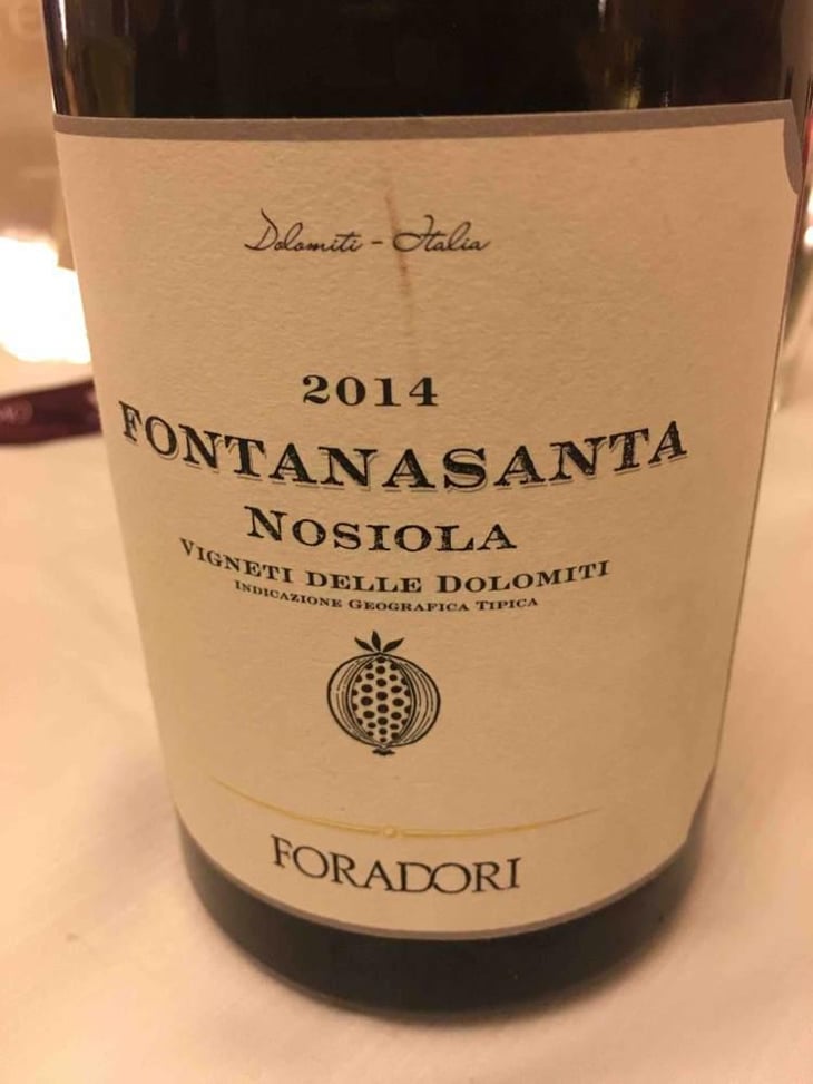 Fontanasanta Manzoni Bianco - Azienda Agricola Foradori - Elisabetta Foradori 