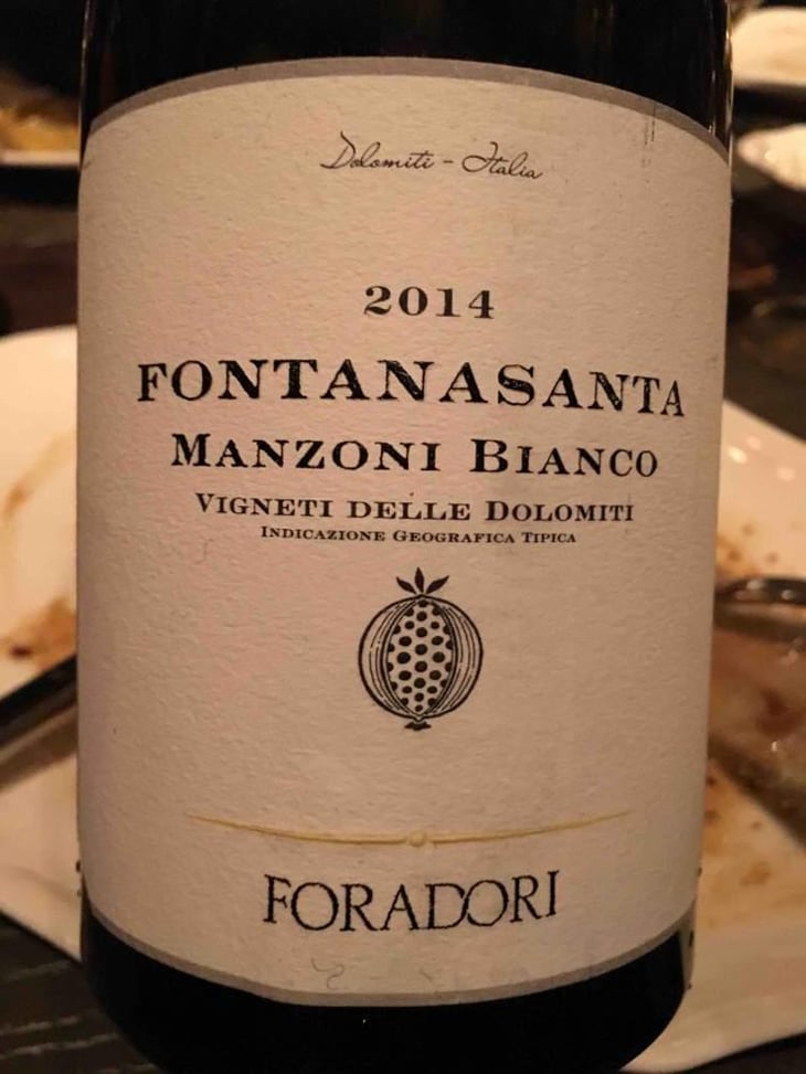 Fontanasanta Manzoni Bianco - Azienda Agricola Foradori - Elisabetta Foradori 