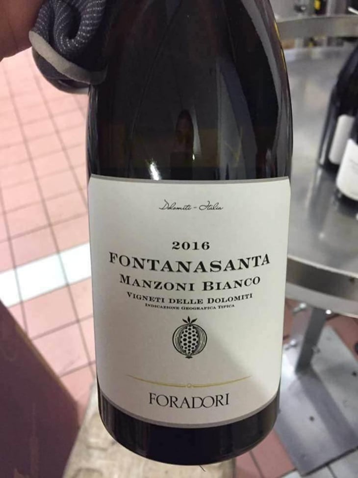 Fontanasanta Manzoni Bianco - Azienda Agricola Foradori - Elisabetta Foradori 
