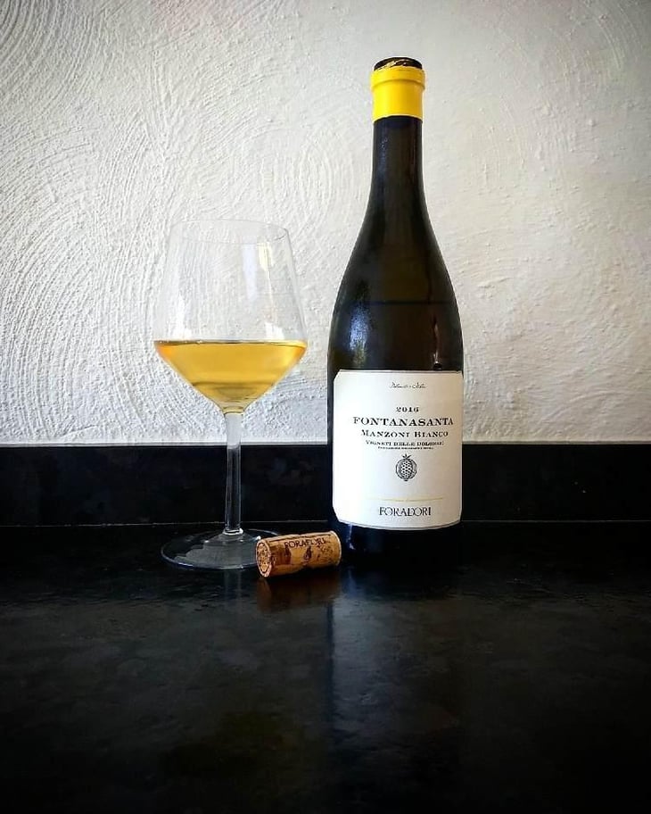 Fontanasanta Manzoni Bianco - Azienda Agricola Foradori - Elisabetta Foradori 