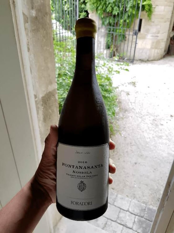 Fontanasanta Manzoni Bianco - Azienda Agricola Foradori - Elisabetta Foradori 