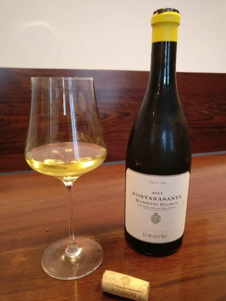 Fontanasanta Manzoni Bianco - Azienda Agricola Foradori - Elisabetta Foradori 