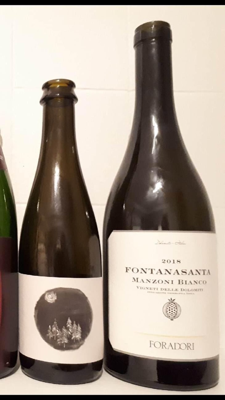 Fontanasanta Manzoni Bianco - Azienda Agricola Foradori - Elisabetta Foradori 