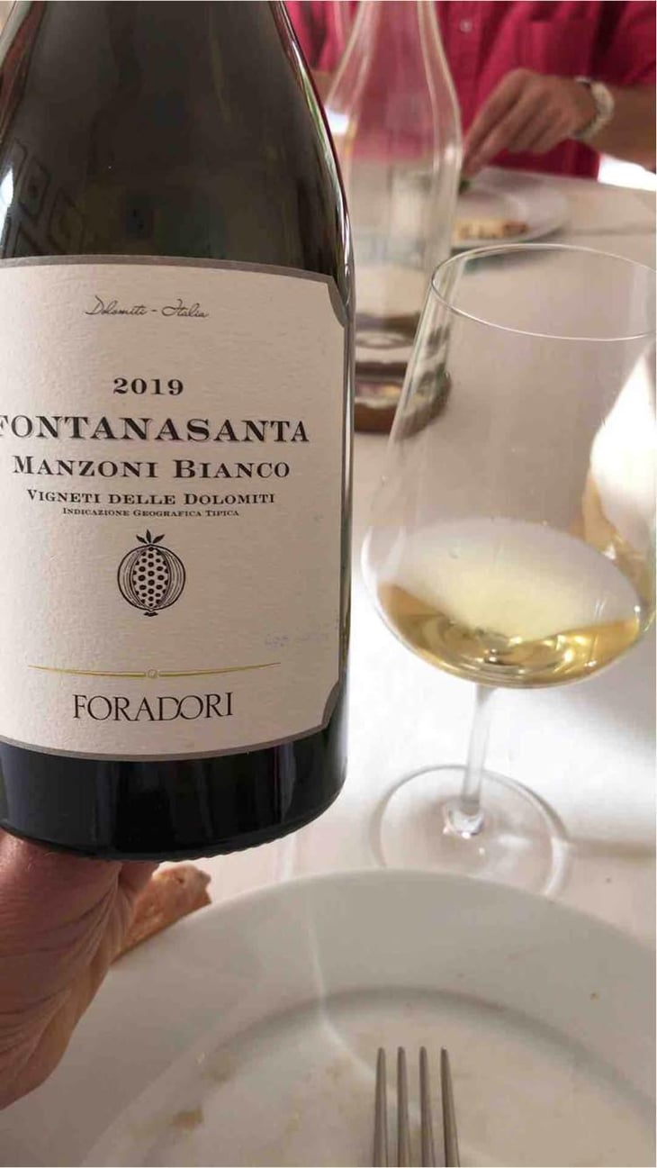 Fontanasanta Manzoni Bianco - Azienda Agricola Foradori - Elisabetta Foradori 