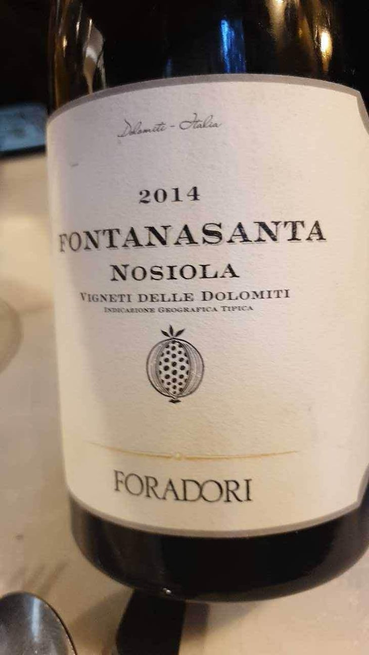 Fontanasanta Manzoni Bianco - Azienda Agricola Foradori - Elisabetta Foradori 
