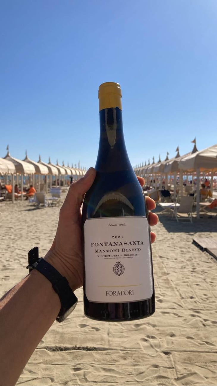 Fontanasanta Manzoni Bianco - Azienda Agricola Foradori - Elisabetta Foradori 