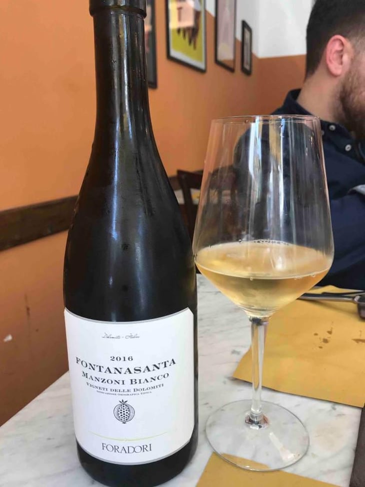 Fontanasanta Manzoni Bianco - Azienda Agricola Foradori - Elisabetta Foradori 