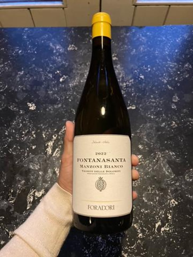 Fontanasanta Manzoni Bianco - Azienda Agricola Foradori - Elisabetta Foradori 