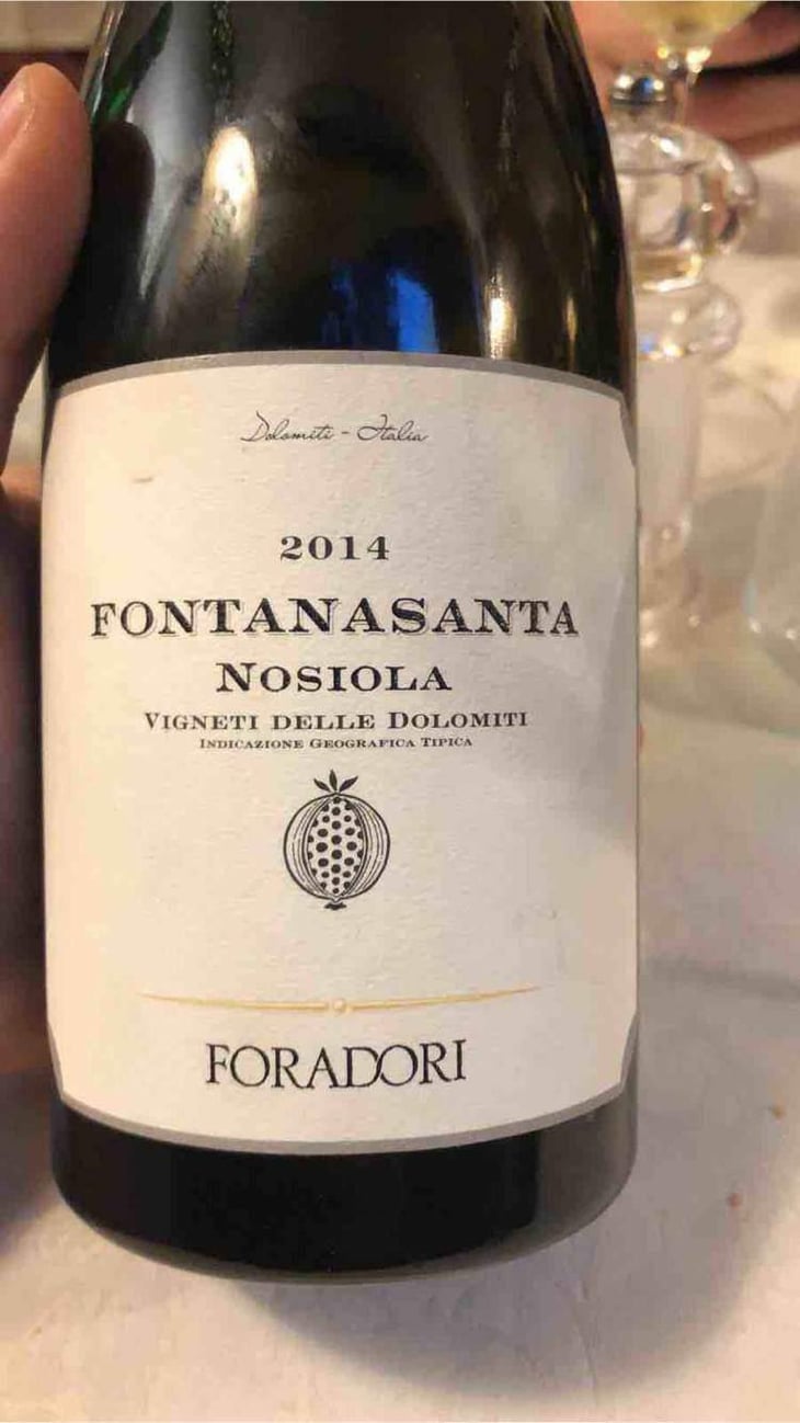 Fontanasanta Nosiola - Azienda Agricola Foradori - Elisabetta Foradori 