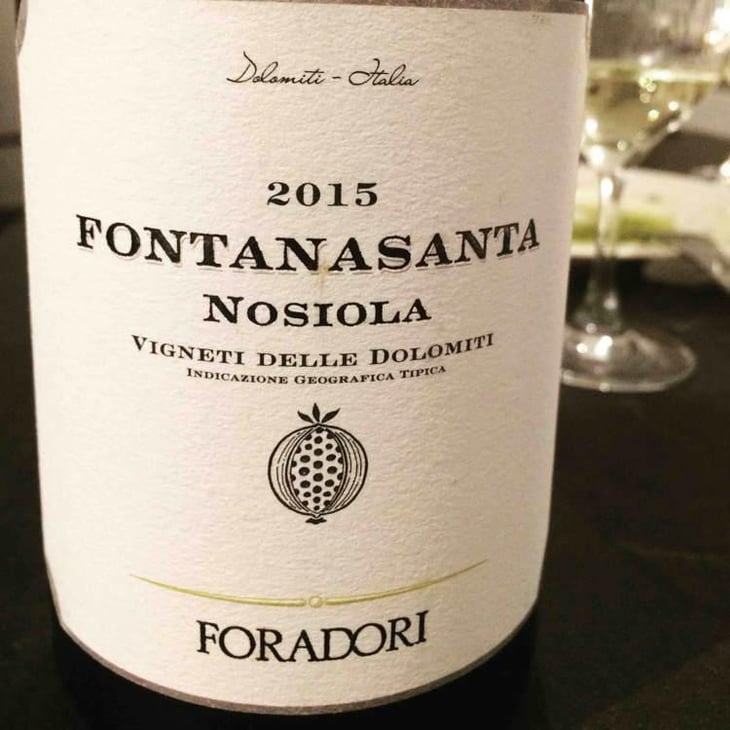 Fontanasanta Nosiola - Azienda Agricola Foradori - Elisabetta Foradori 
