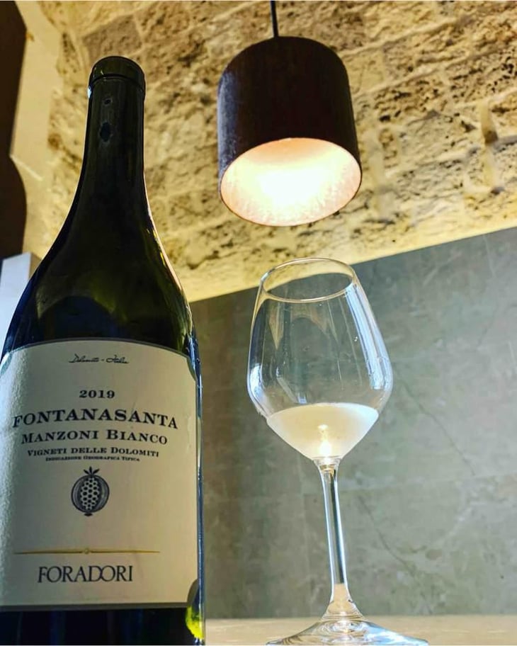 Fontanasanta Nosiola - Azienda Agricola Foradori - Elisabetta Foradori 