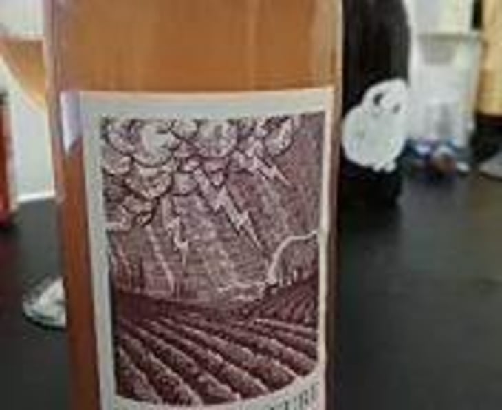 Force Majeure Rosé - JH Meyer Signature Wines - Johan Meyer 