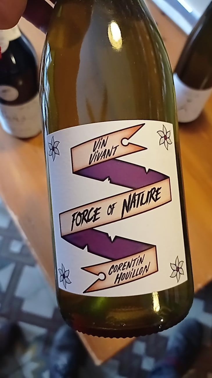 Force of Nature - HC-vins - Corentin Houillon 