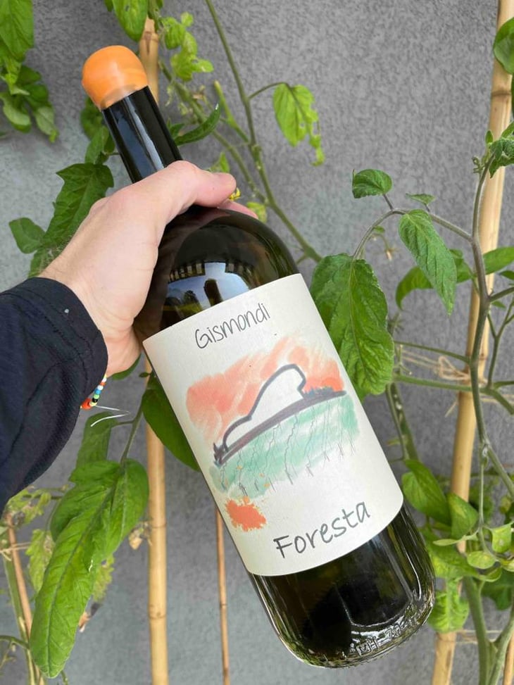 Foresta - La Vinicola di Antonio Gismondi - Anabel & Antonio Gismondi -2021