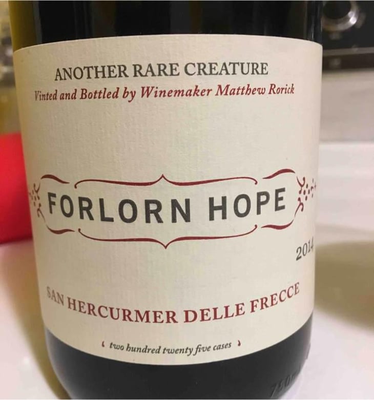 Forlorn Hope San Hercurmer Delle Frecce - Forlorn Hope - Matthew Rorick 