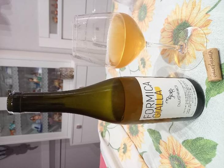 Formica Gialla - Colleformica - Sergio & Paulo Bombetti 