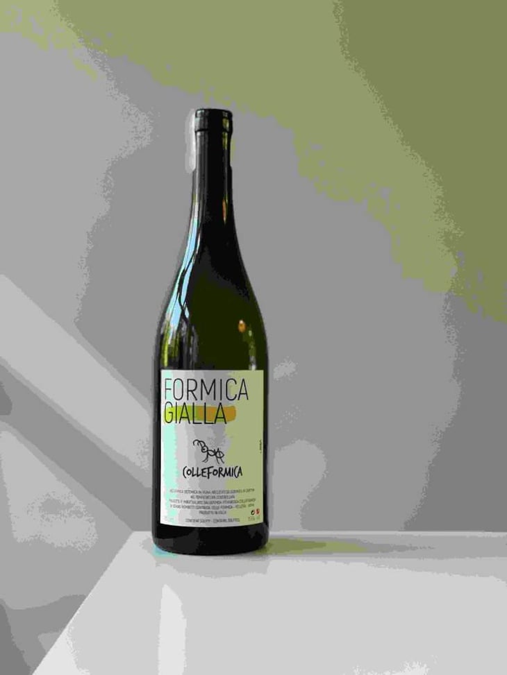 Formica Gialla - Colleformica - Sergio & Paulo Bombetti 
