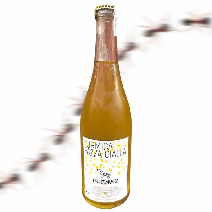 Formica Pazza Gialla - Colleformica - Sergio & Paulo Bombetti 